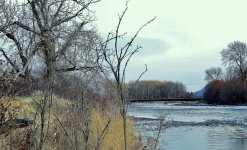 _DSC9089-001.jpg