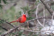 DSC_6270.jpg