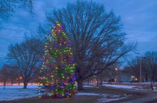 Wfield_EH_195-196-197_HDR-2.jpg