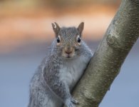 DSC_4307.jpg