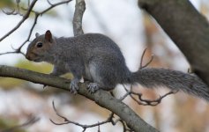 DSC_4308.jpg
