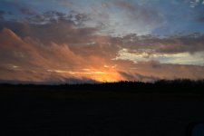 DSC_4292.jpg