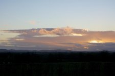 DSC_2348.jpg