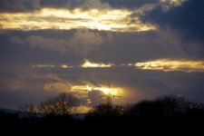 DSC_2339.jpg