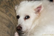 DSC_6304.jpg