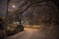 DSC_7752.jpg