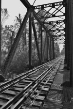 DSC_0327 (2).jpg