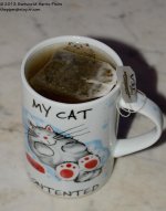 354 Cup of Tea-131222_01.jpg