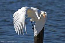 DSC_8763.jpg