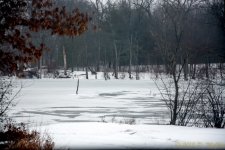 DSC_6315.jpg