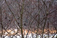 DSC_6318.jpg