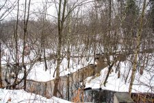 DSC_6321.jpg