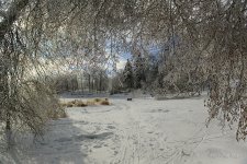 DSC_7825.jpg