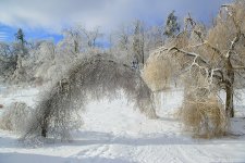 DSC_7802.jpg