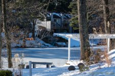 DSC_6331.jpg