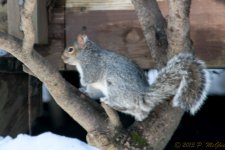 DSC_6333.jpg