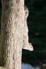DSC_6349.jpg