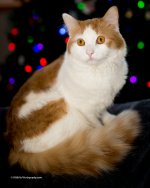 DSC_6866_9304.jpg