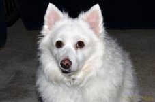 DSC_9367.jpg