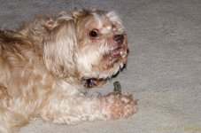 DSC_9376.jpg