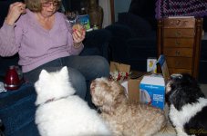 DSC_9416.jpg