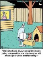 doghouse.jpg