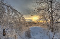1MC_1985_6_7_8_9_tonemapped.jpg