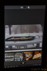 DSC_9426.jpg