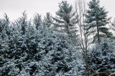 DSC_9430.jpg