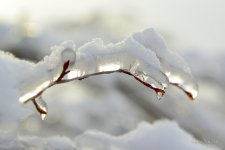DSC_7852.jpg