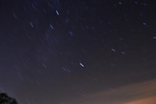 DSC_0212.jpg