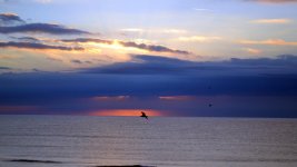 DSC_0241.jpg