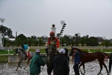 DSC_3272.JPG