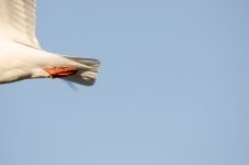 DSC_6416.jpg