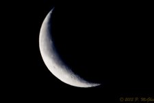 DSC_6396.jpg