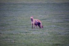 DSC_2613.jpg