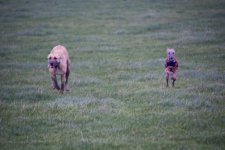 DSC_2615.jpg