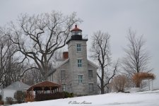 DSC_1156.jpg