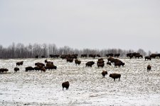 DSC_1206.jpg