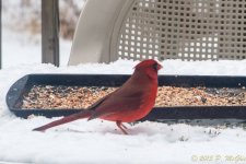 DSC_6402.jpg