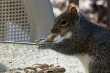 DSC_6415.jpg