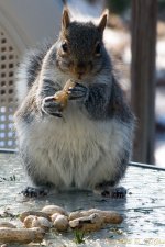 DSC_6416.jpg