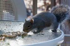 DSC_6429.jpg