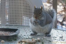 DSC_6431.jpg