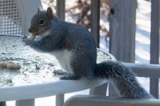 DSC_6432.jpg