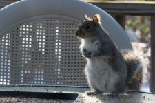 DSC_6433.jpg