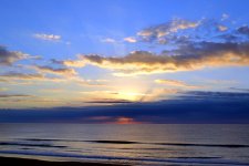 DSC_0269.jpg