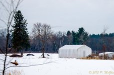 DSC_9444.jpg