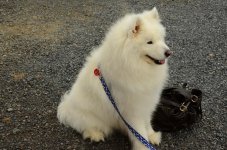 DSC_7720.jpg