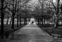 Nikonites-3.jpg